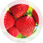 Strawberries and Thorvin Kelp Fertilizers