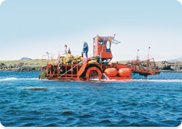 Kelp mower